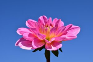 片思いの終わりから立ち直りまでの効果的な方法は？