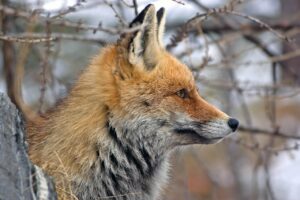 元カレのSNSを見るのをやめたい理由とは？