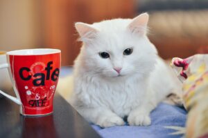失恋後におすすめの飲み方とは？